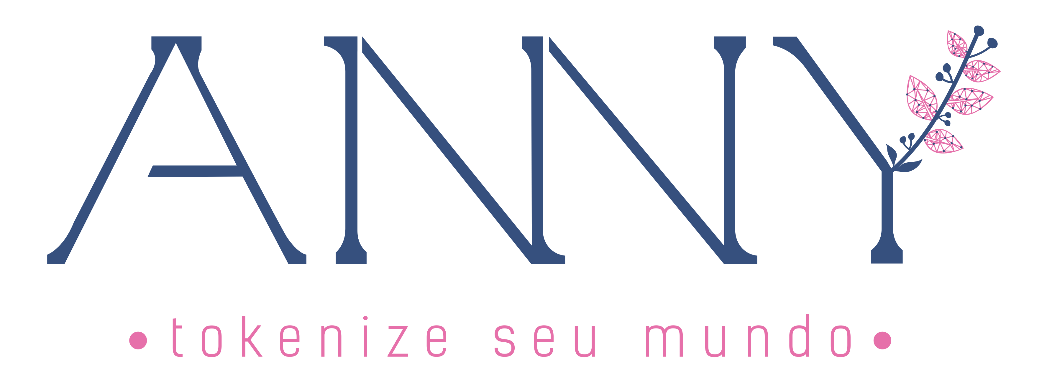 Logo-atual da Anny 2024